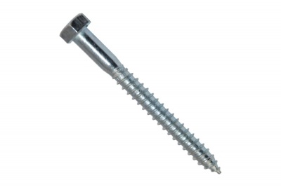 Шуруп с шестигран. головкой 10х100